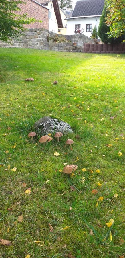 Rekreacni Dum Pohoda Jiřetín pod Jedlovou Exterior foto